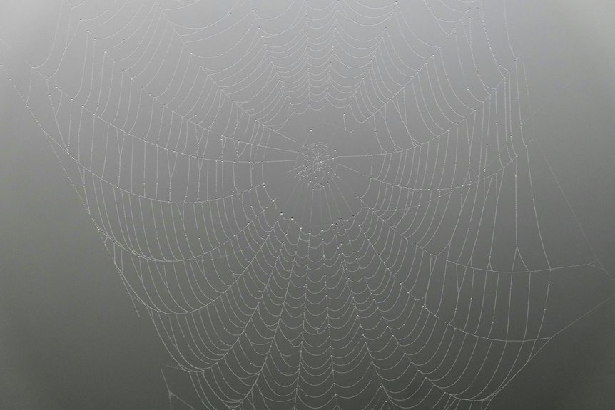 eternal dawn design code