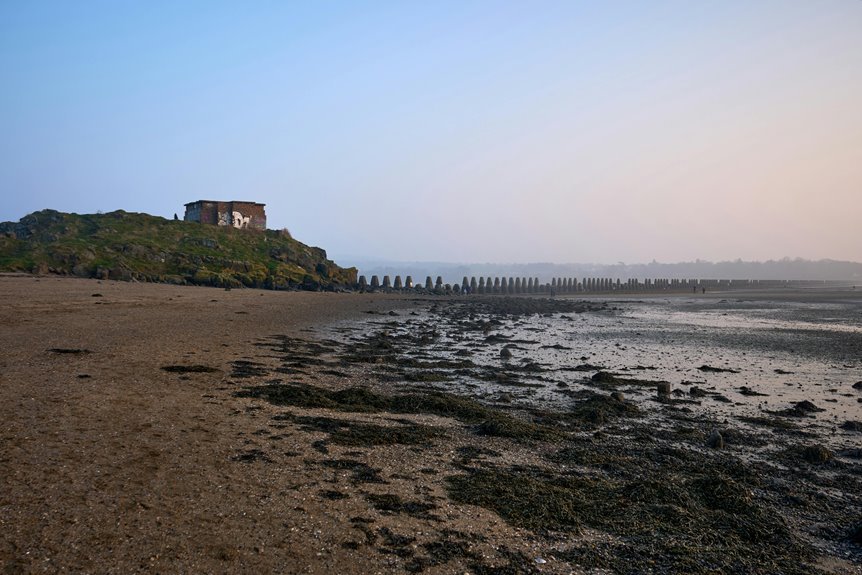 latest posts on rivenisnet