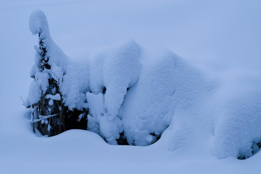 marblewind annals of drift