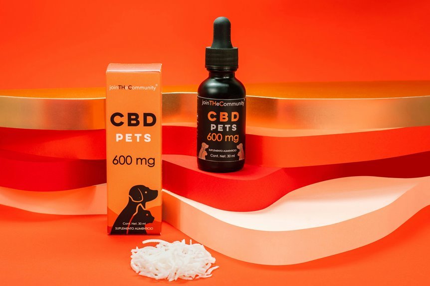 cbd for dogs arthritis